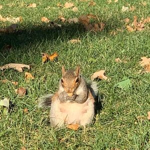 Meet your Posher, Minji